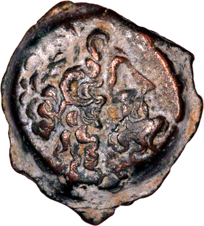 Obverse of Ptolemy VI drachm