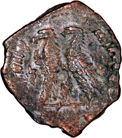 Reverse of Ptolemy VI drachm