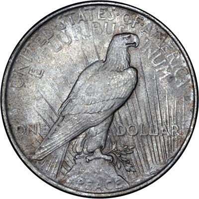 Reverse of 1922 American Peace Type Silver Dollar