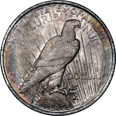 Reverse of 1923 American Peace Type Silver Dollar