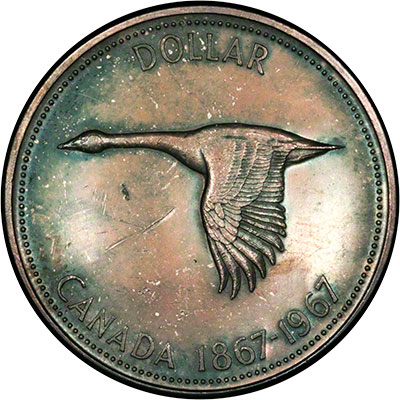 Reverse of 1967 Canada wildlife Dollar