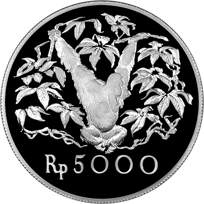 Reverse of 1974 5000 Rupiah - Orangutan