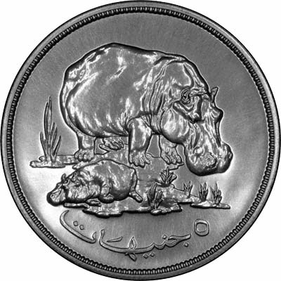 Hippopotamus on Reverse of 1976 Sudan 5 Pounds