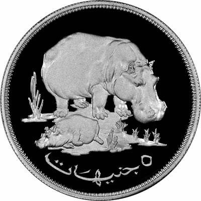 Hippopotamus on Reverse of 1976 Sudanese Silver Proof Five Pounds