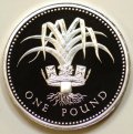 Welsh Leek in Diadem on Reverse of 1985 Pound Coin