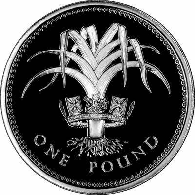 Welsh Leek on Reverse of 1985 Pound Coin