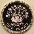 Flax Plant in Diadem on Reverse of 1986 Pound Coin Northern Ireland Design