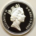 Third Portrait on Obverse of 1989 Pound Coin