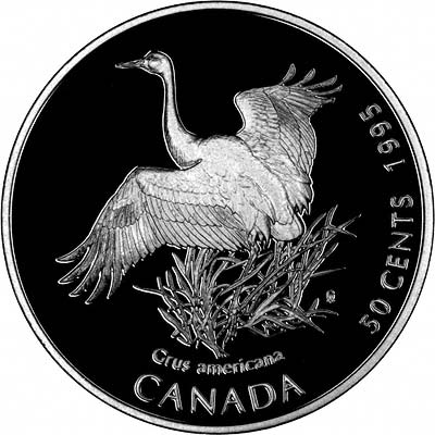 Reverse of 1995 Whooping Crane 50 Cent