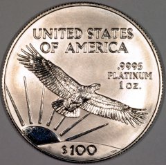 Reverse of One Ounce American Eagle in Platinum