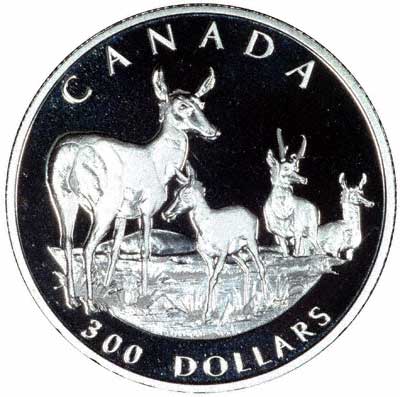Pronghorn Antelope on Reverse of One Ounce Canadian Platinum $300