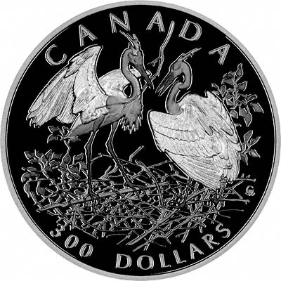 Great Blue Heron on Reverse of 2002 One Ounce Canadian Coin in Platinum