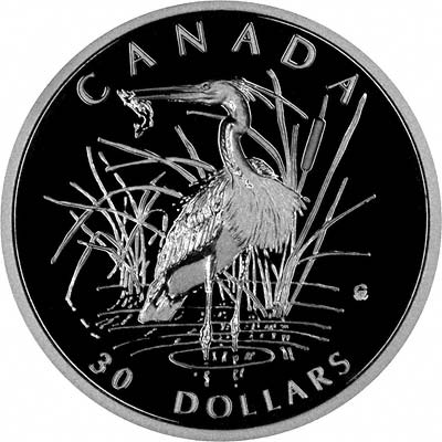 Great Blue Heron with Fish on Reverse of 2002 Tenth Ounce Canadian Platinum $30