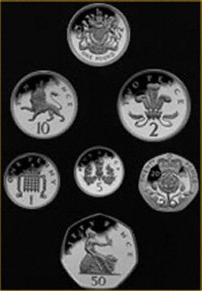 Reverse of 2008 UK Platinum Emblems of Britain Coins